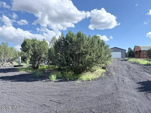 4 County Road 8245, Concho, AZ 85924 - #2