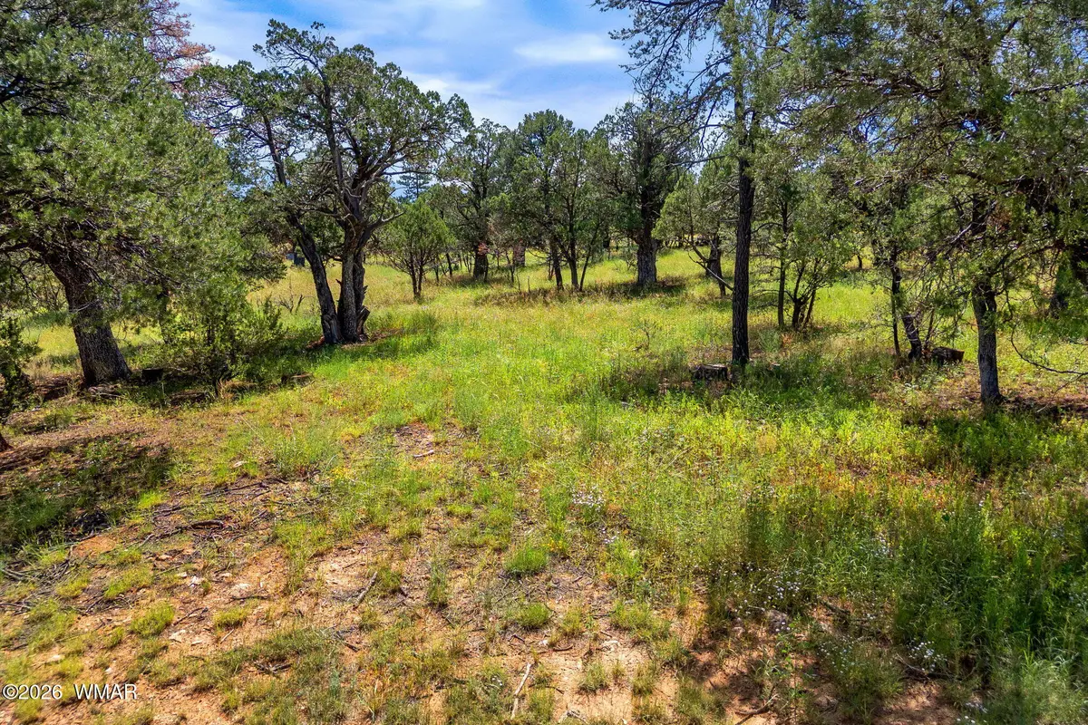 2864 Buck Circle, Overgaard, AZ 85933 - #1