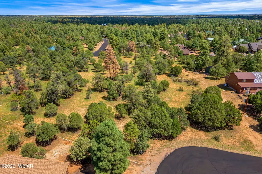 2864 Buck Circle, Overgaard, AZ 85933 - #3