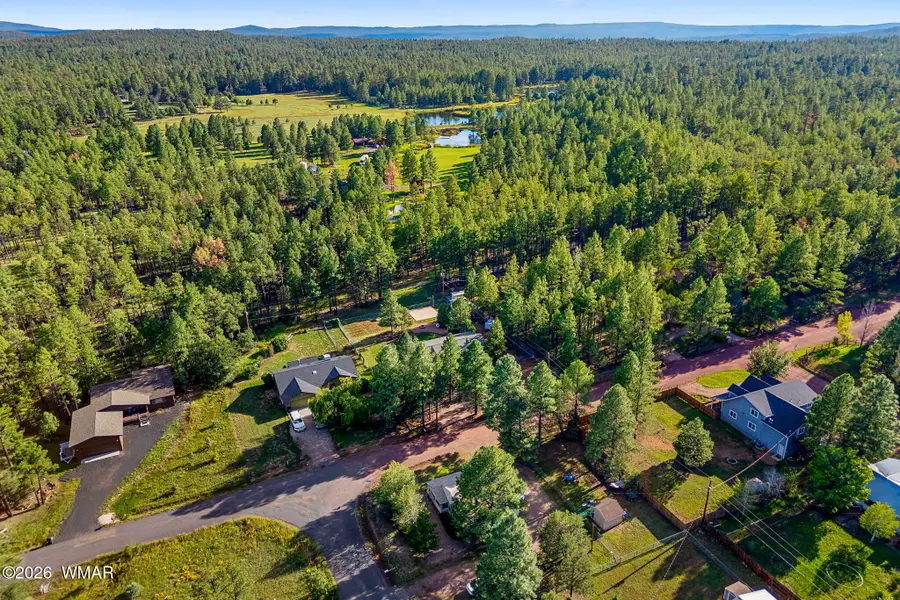 4195 Mohave Drive, Lakeside, AZ 85929 - #3