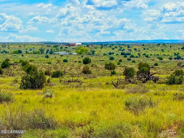 0 Hay Hollow Rd 20 Acres, Snowflake, AZ 85937