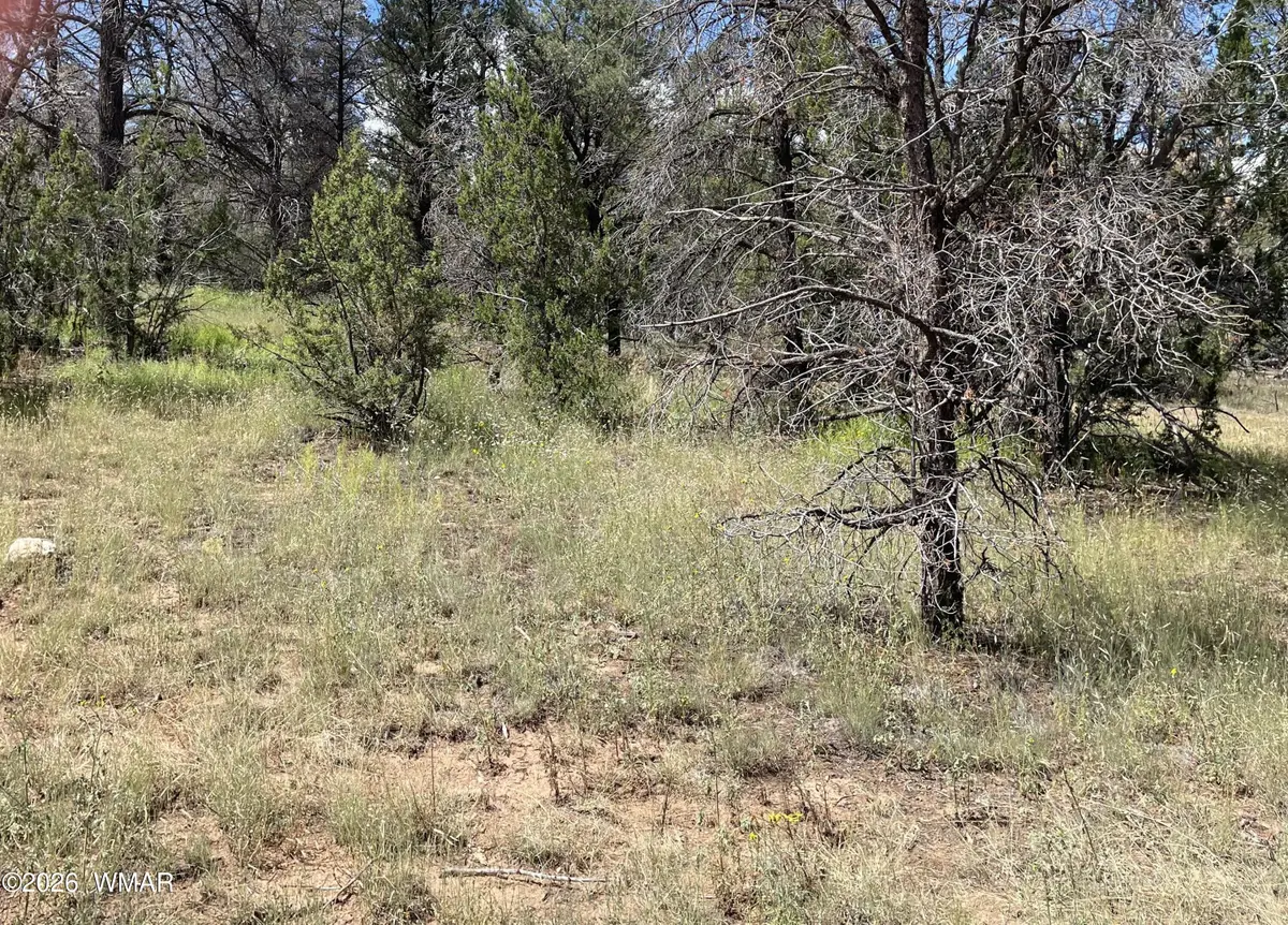 0000 Jeep Trail, Overgaard, AZ 85933 - #1