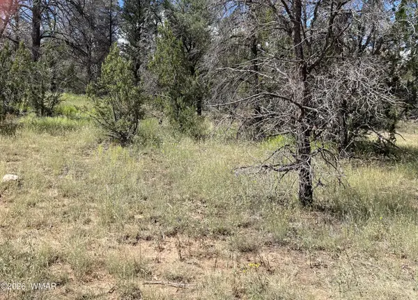 0000 Jeep Trail, Overgaard, AZ 85933