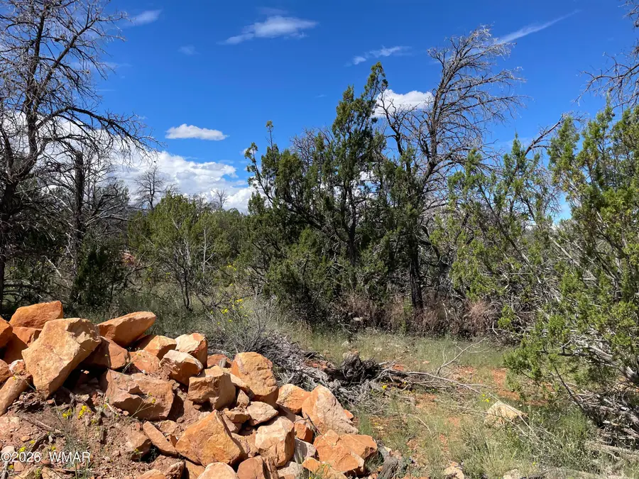 0000 Jeep Trail, Overgaard, AZ 85933 - #2