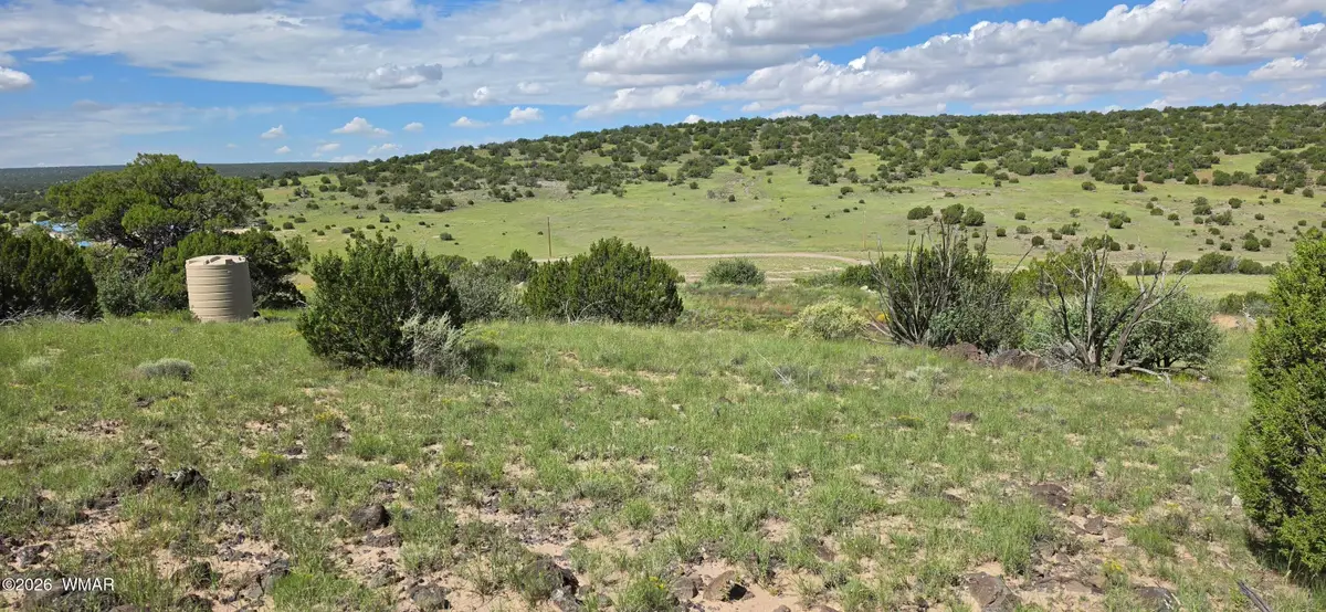 TBD Cr 8624, Concho, AZ 85924 - #1