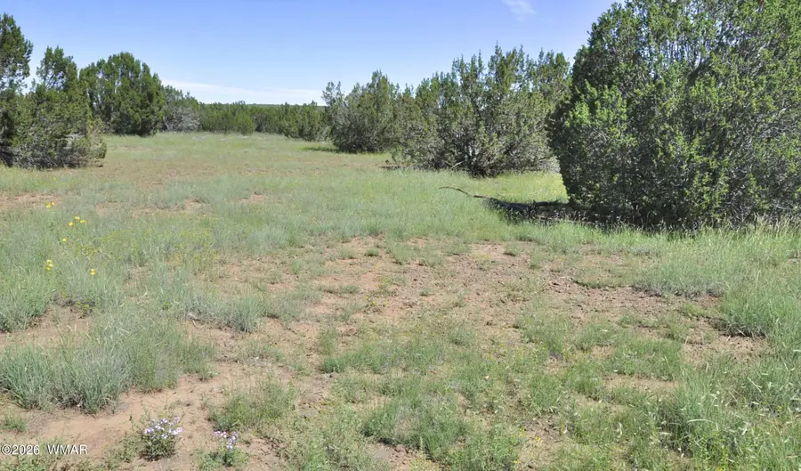 9184C Chimisa Ranch Rd, Show Low, AZ 85901 - #3