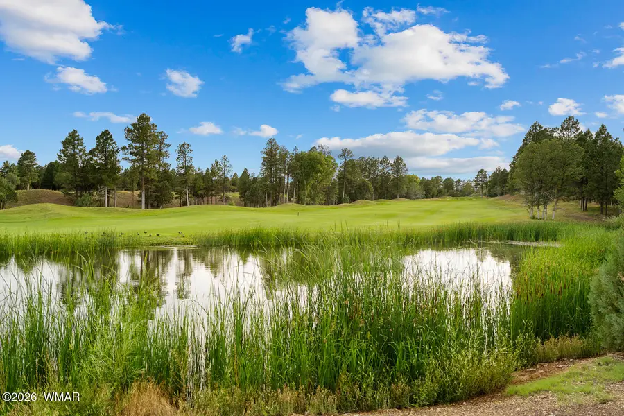 4010 Sugar Pine Loop, Show Low, AZ 85901 - #2