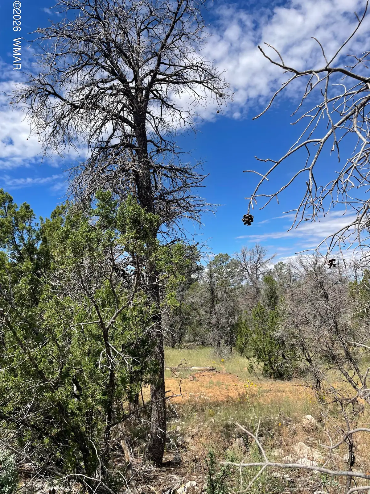 0001 Jeep Trail, Overgaard, AZ 85933 - #1