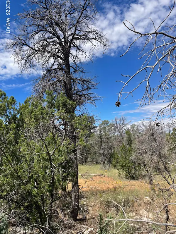 0001 Jeep Trail, Overgaard, AZ 85933