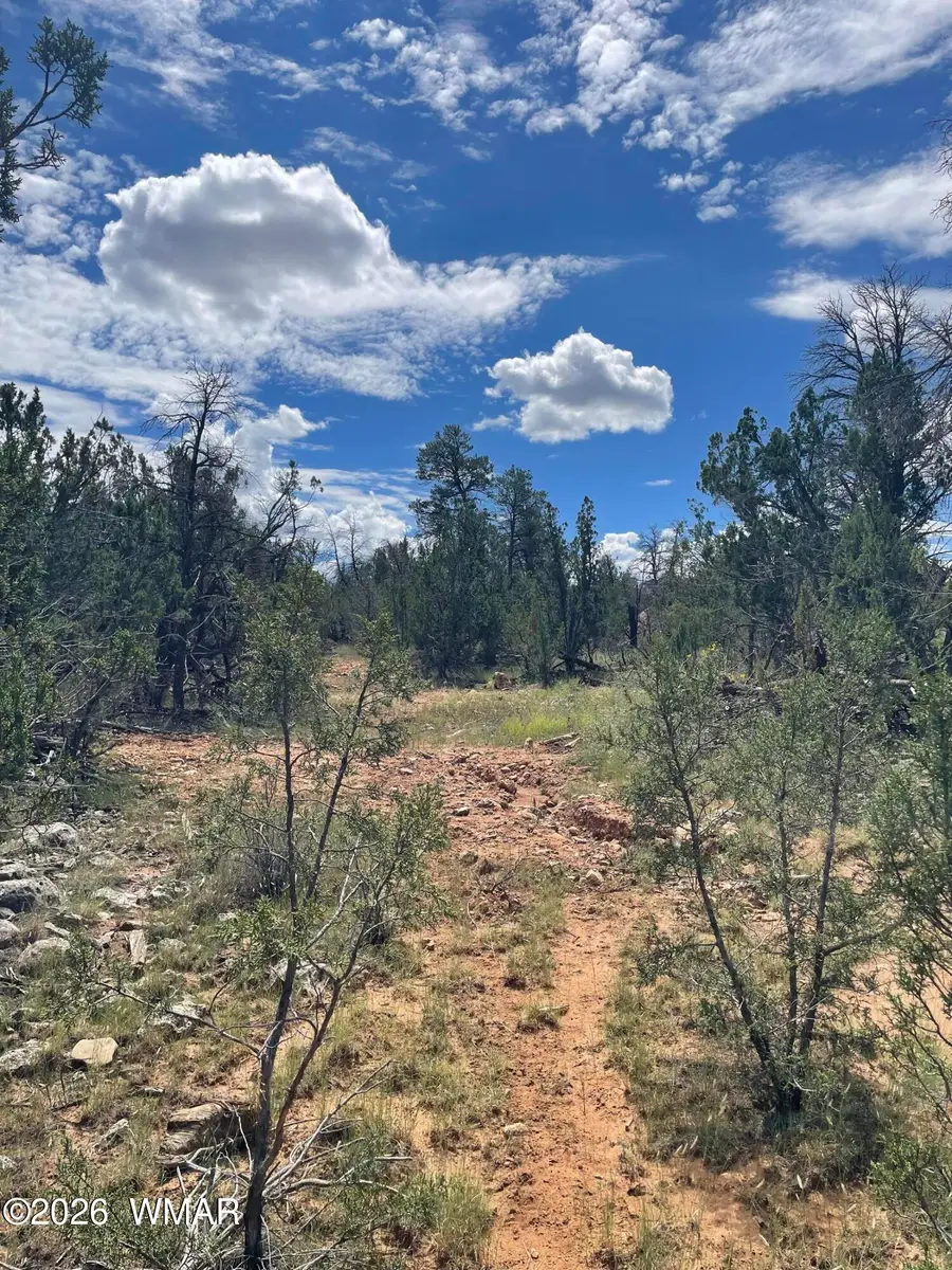 0001 Jeep Trail, Overgaard, AZ 85933 - #2