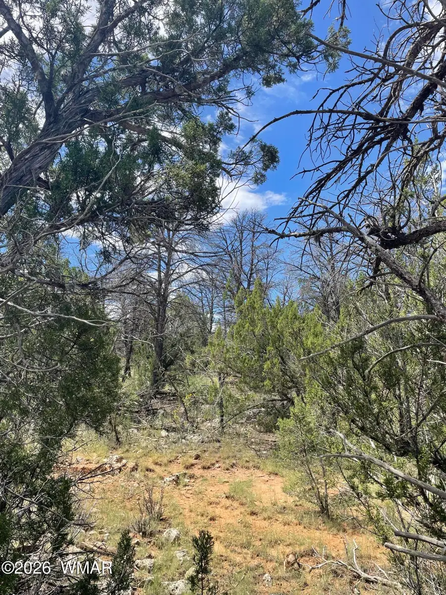 0001 Jeep Trail, Overgaard, AZ 85933 - #3