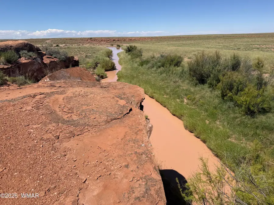 1 N 180 Road, Woodruff, AZ 85942 - #2