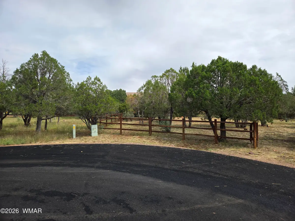 2757 Kitty Hawk Lane, Overgaard, AZ 85933 - #1