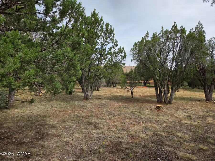 2757 Kitty Hawk Lane, Overgaard, AZ 85933 - #2