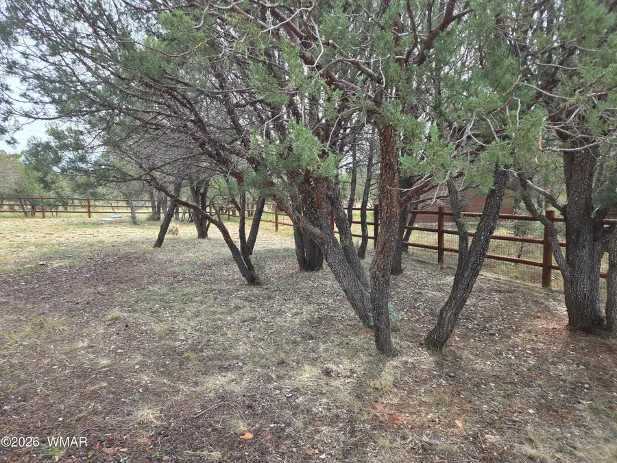 2757 Kitty Hawk Lane, Overgaard, AZ 85933 - #3
