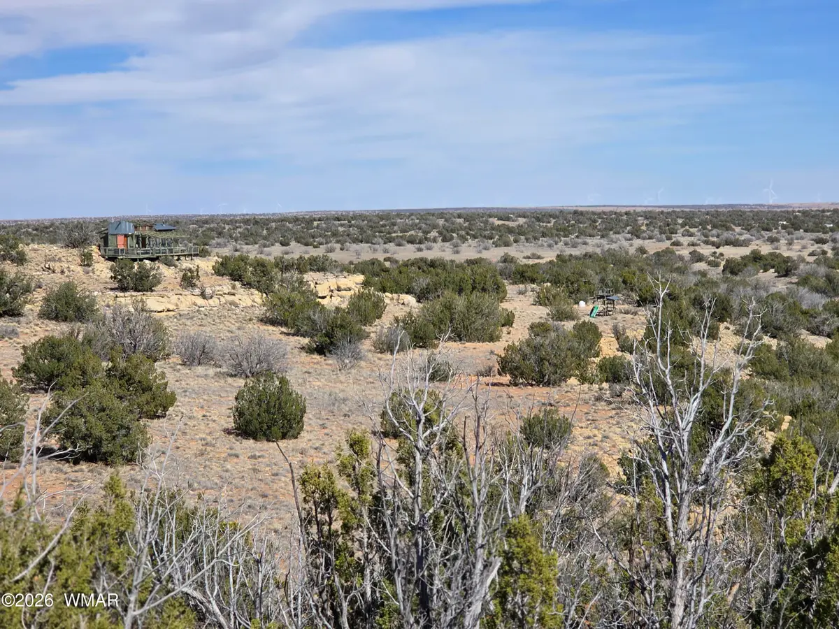5827 Watermelon Drive, Heber, AZ 85928 - #1