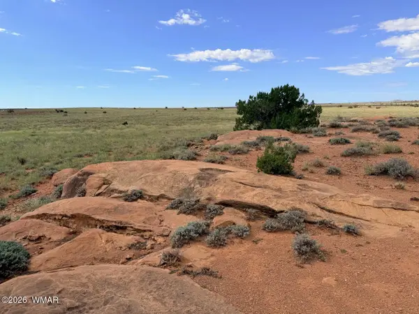 8017 Johnson Hill Trail, Snowflake, AZ 85937