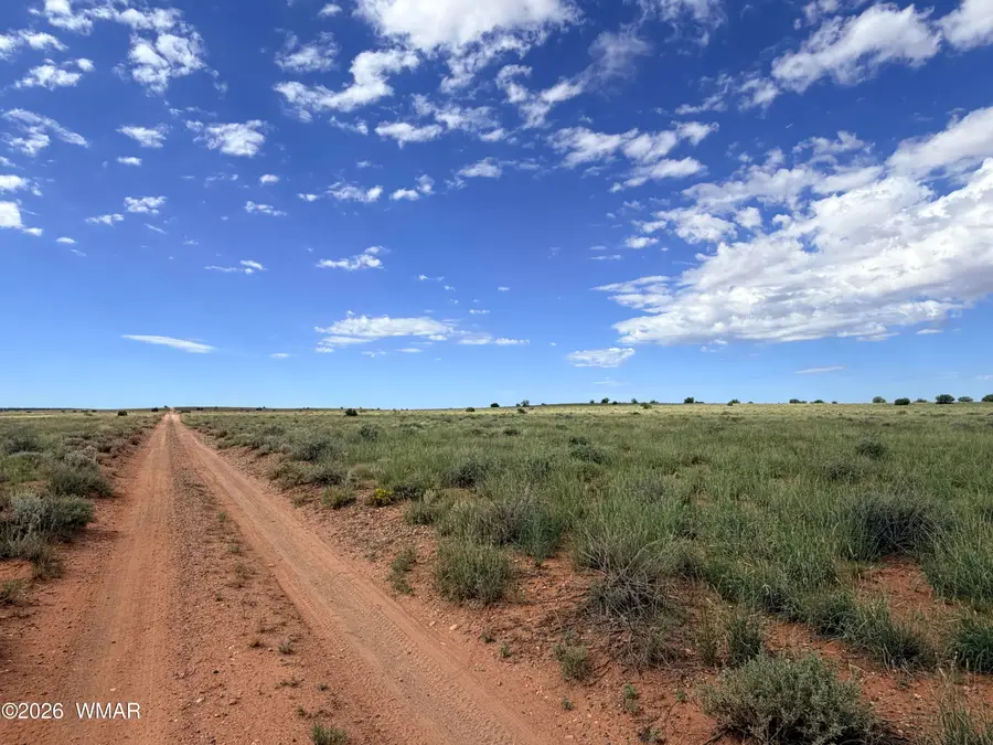 8017 Johnson Hill Trail, Snowflake, AZ 85937 - #2