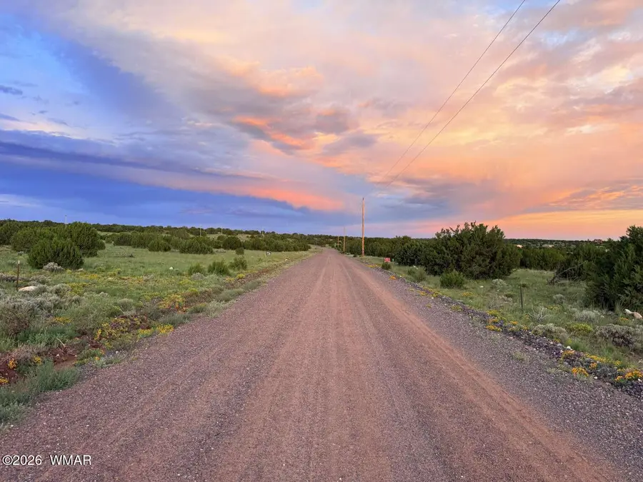 0 County Road 8623, Concho, AZ 85924 - #3