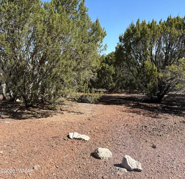 Lot 200 County Road 3189, Vernon, AZ 85940