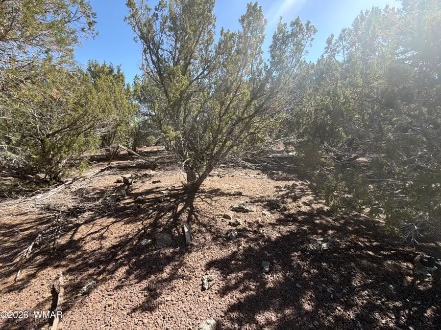 Lot 200 County Road 3189, Vernon, AZ 85940 - #2