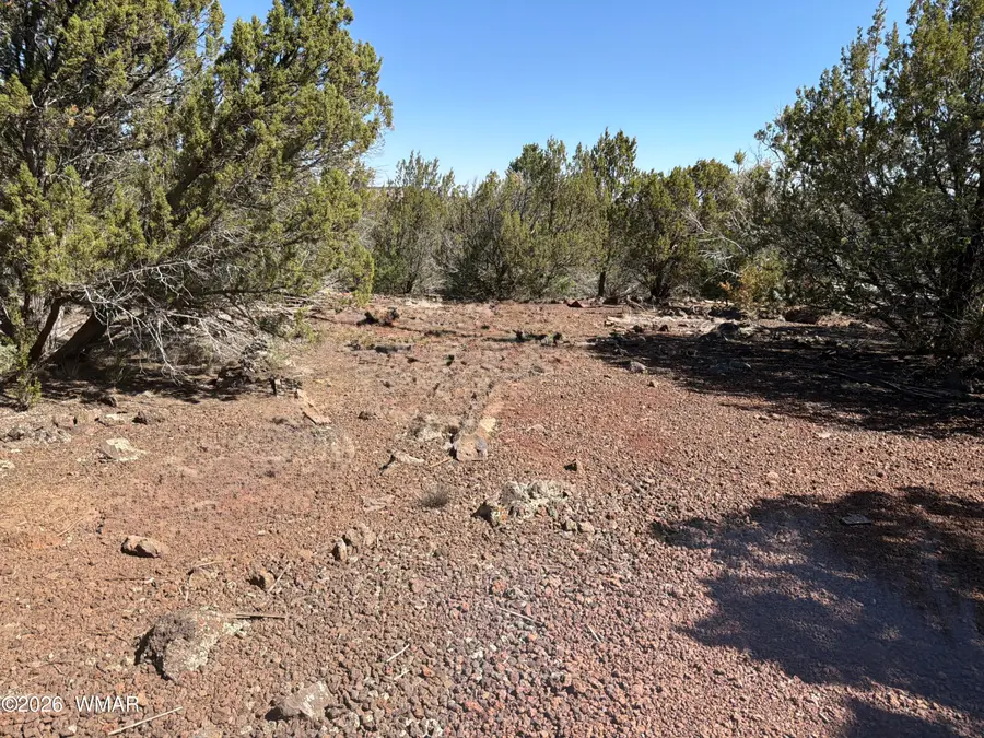 Lot 200 County Road 3189, Vernon, AZ 85940 - #3