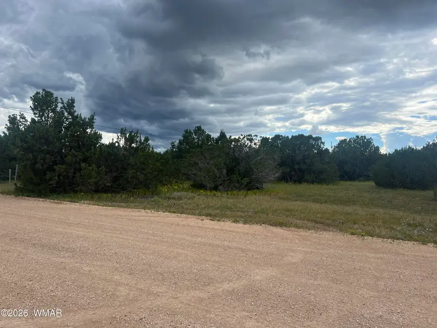 TBD N3119, Vernon, AZ 85940 - #2