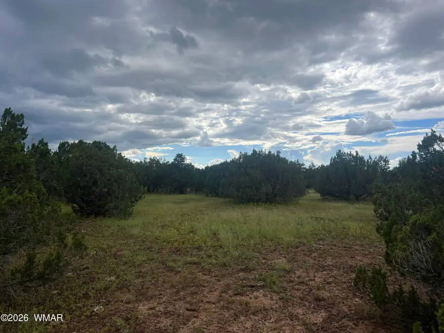 TBD N3119, Vernon, AZ 85940 - #3