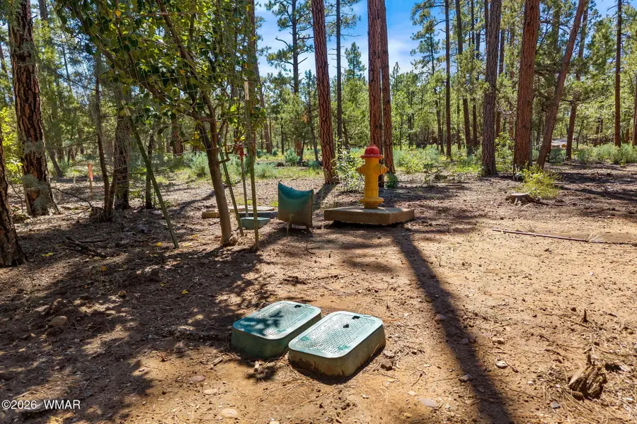 040C Vallery Lane, Lakeside, AZ 85929 - #2