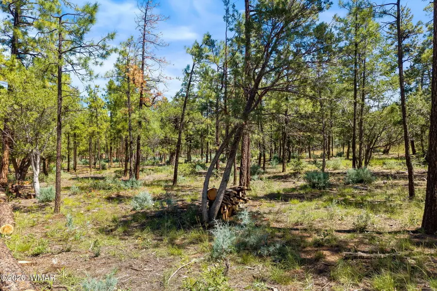 040C Vallery Lane, Lakeside, AZ 85929 - #3