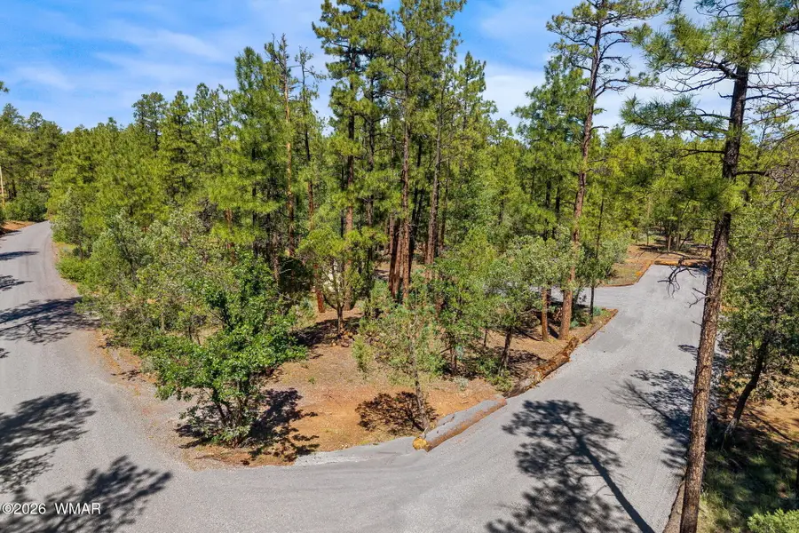 015F High Drive, Lakeside, AZ 85929 - #2
