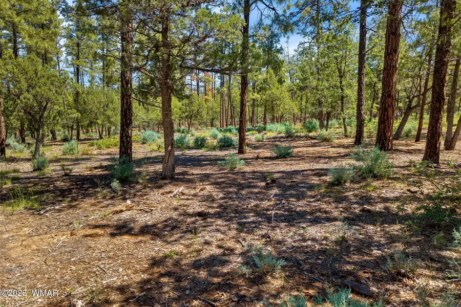 21249-040E Vallery Lane, Lakeside, AZ 85929 - #2