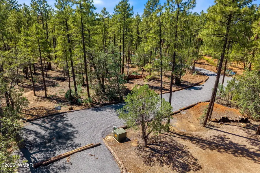 21249-040E Vallery Lane, Lakeside, AZ 85929 - #3
