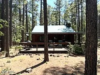 3951 Blue Spruce Drive, Pinetop, AZ 85935 - #2