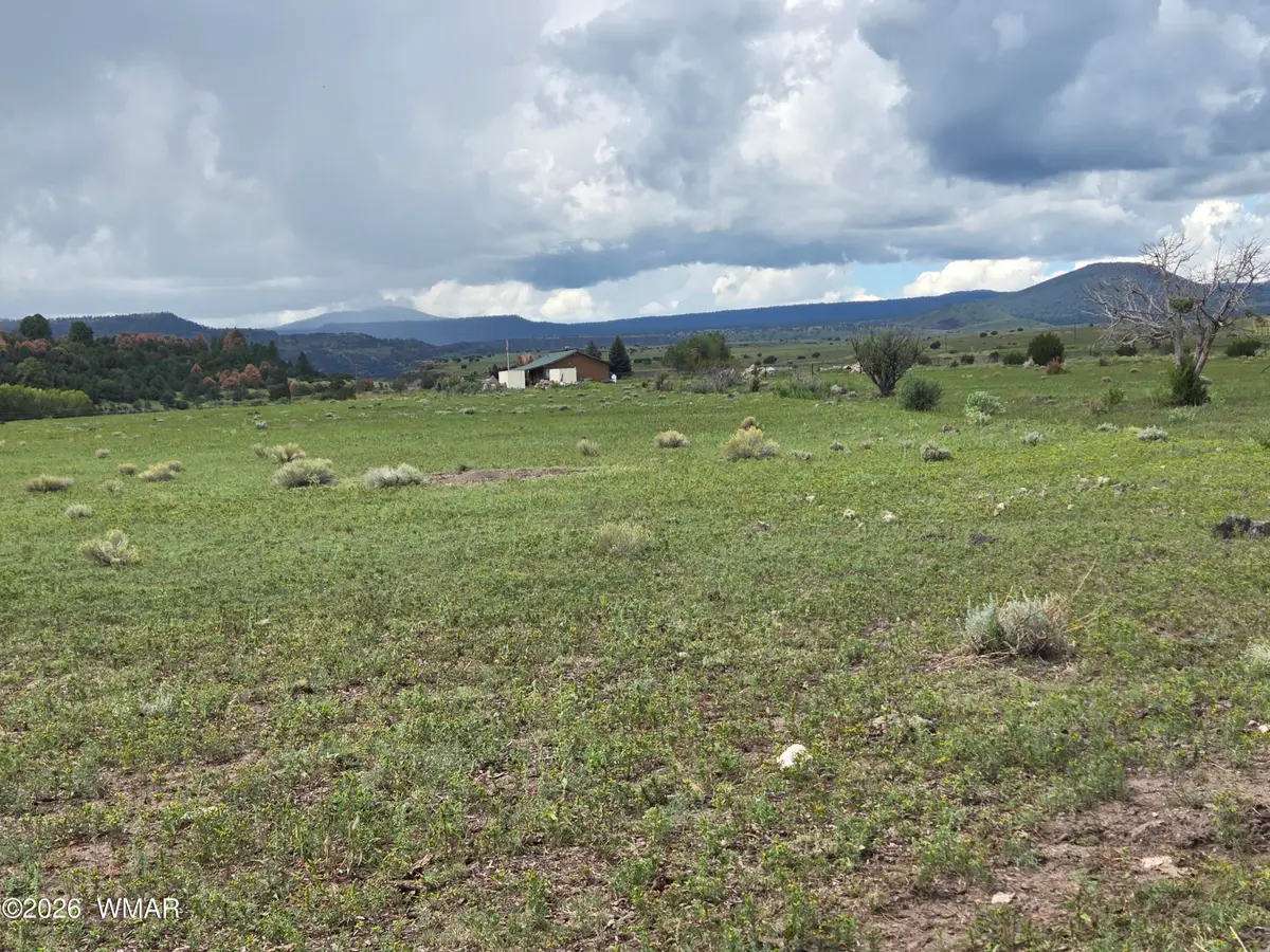 TBD W Sr 260 & Joy Drive, Eagar, AZ 85925 - #1