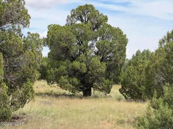 86 N5535 Road, Concho, AZ 85924