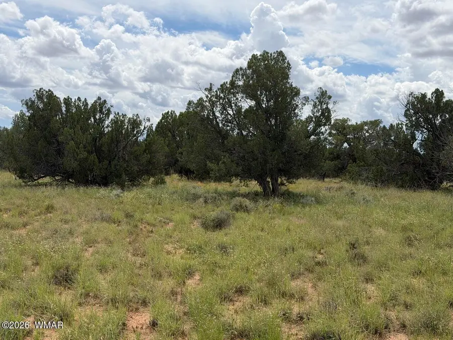86 N5535 Road, Concho, AZ 85924 - #2