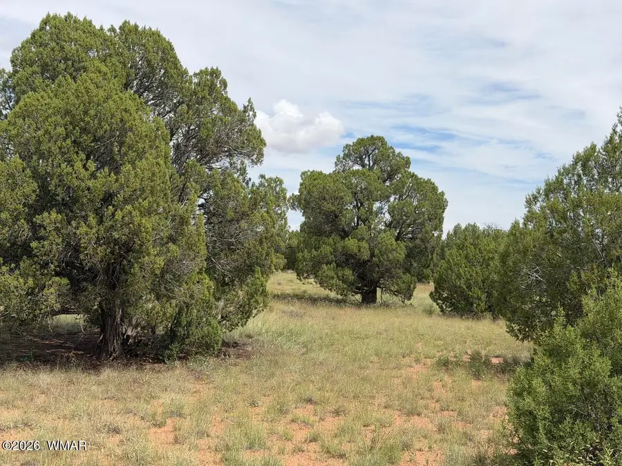 86 N5535 Road, Concho, AZ 85924 - #3
