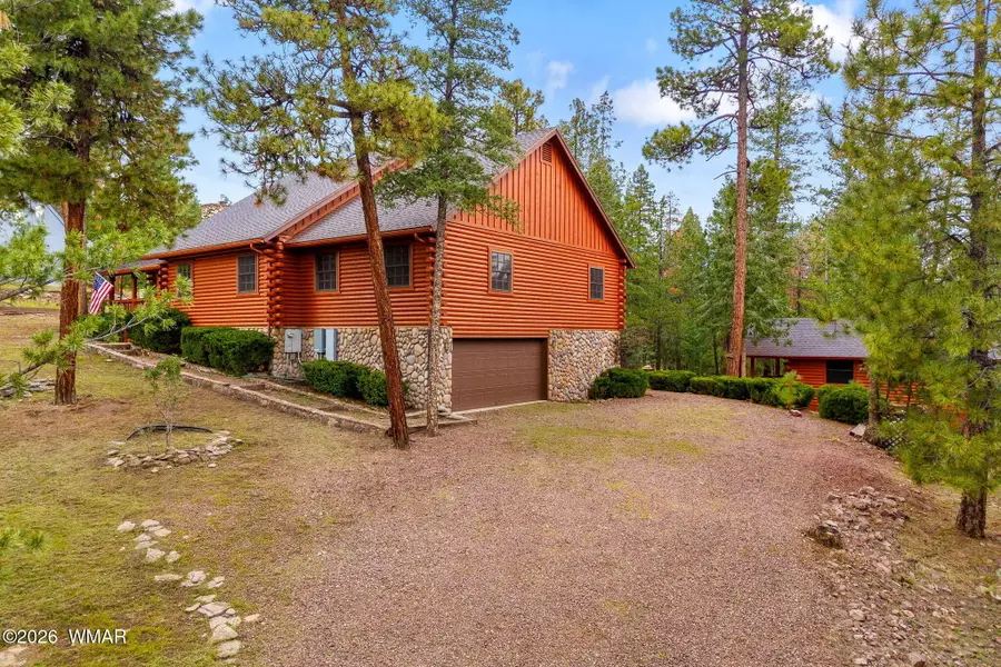 10 County Road 2074, Alpine, AZ 85920 - #2