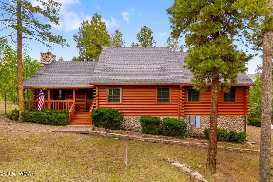10 County Road 2074, Alpine, AZ 85920 - #3