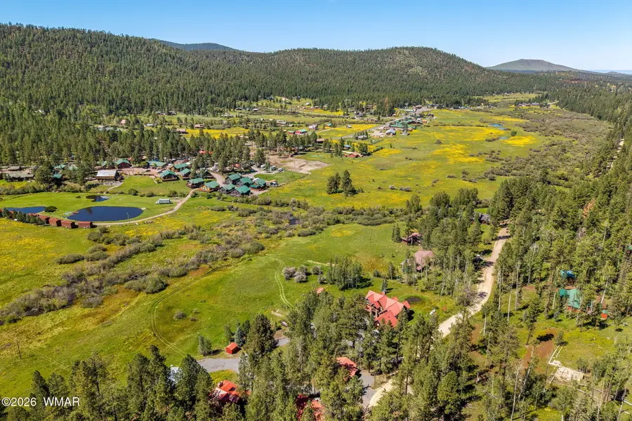 61 County Road 1121, Greer, AZ 85927 - #3