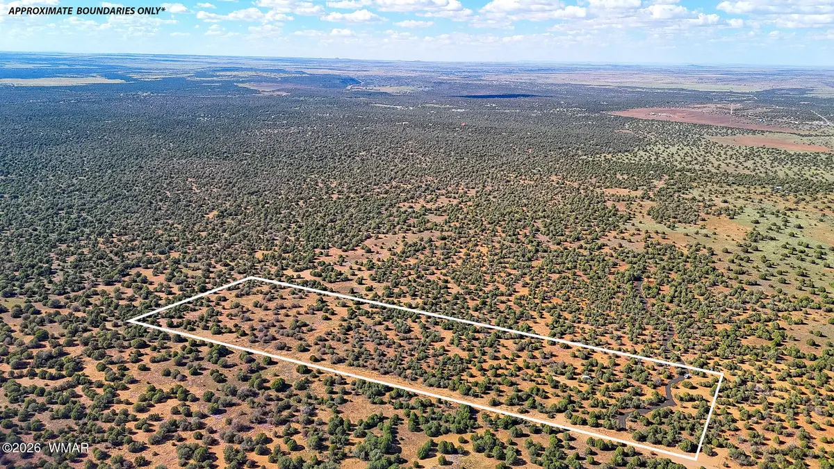 8026 Colt Ln. Lot 4, Show Low, AZ 85901 - #1