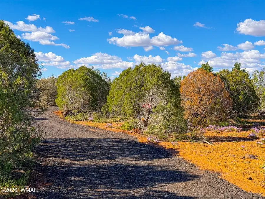 8026 Colt Ln. Lot 4, Show Low, AZ 85901 - #2