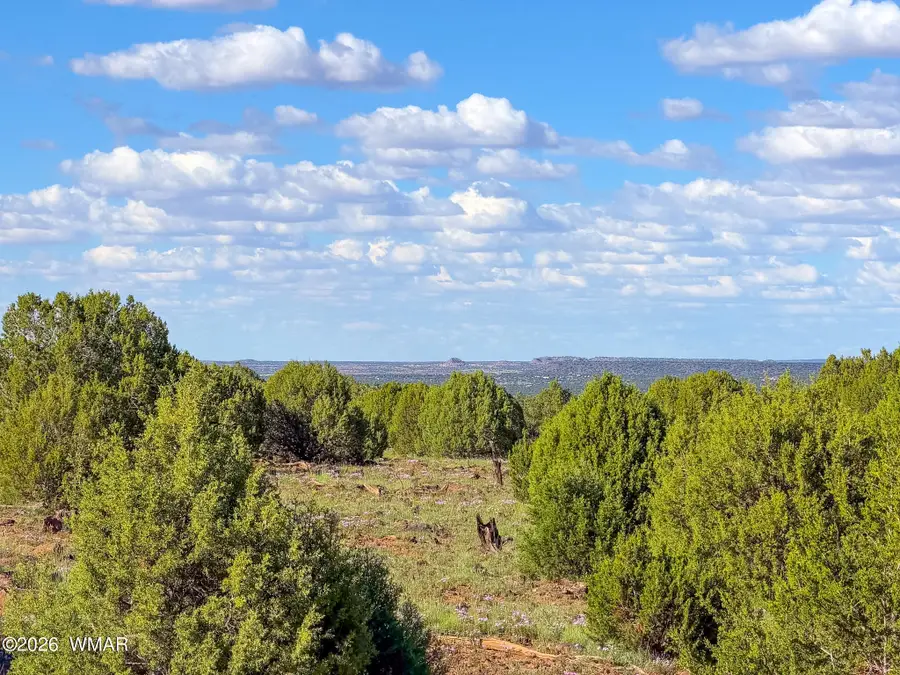 8026 Colt Ln. Lot 4, Show Low, AZ 85901 - #3