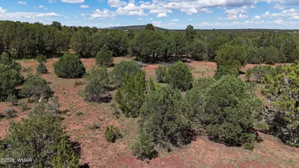 21 County Road 3183, Vernon, AZ 85940