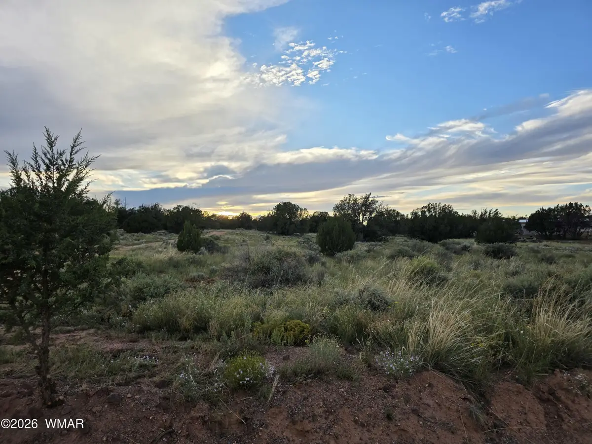 3908 Hidden Ranch Road, Snowflake, AZ 85937 - #1