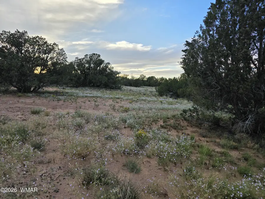 3908 Hidden Ranch Road, Snowflake, AZ 85937 - #2