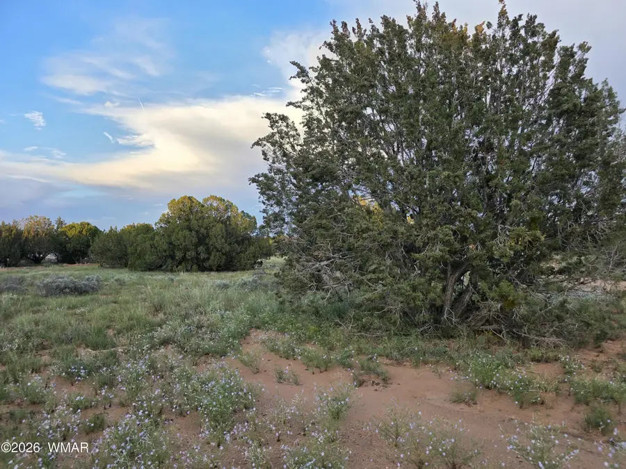 3908 Hidden Ranch Road, Snowflake, AZ 85937 - #3