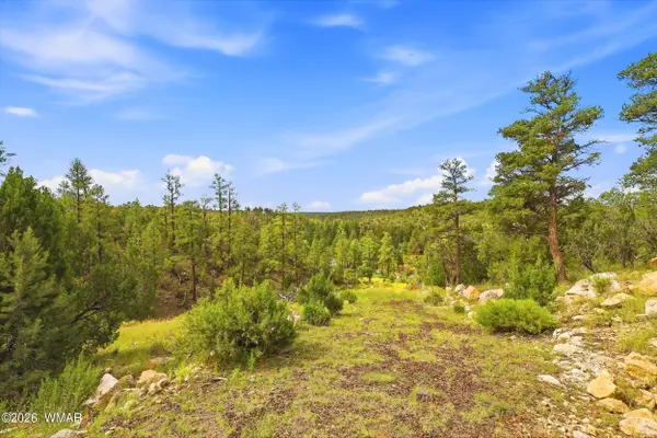 1740 Eskimo Lane, Heber, AZ 85928