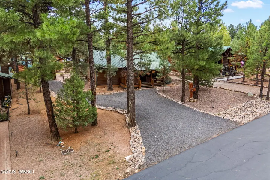 2645 Palomino Trail, Overgaard, AZ 85933 - #2